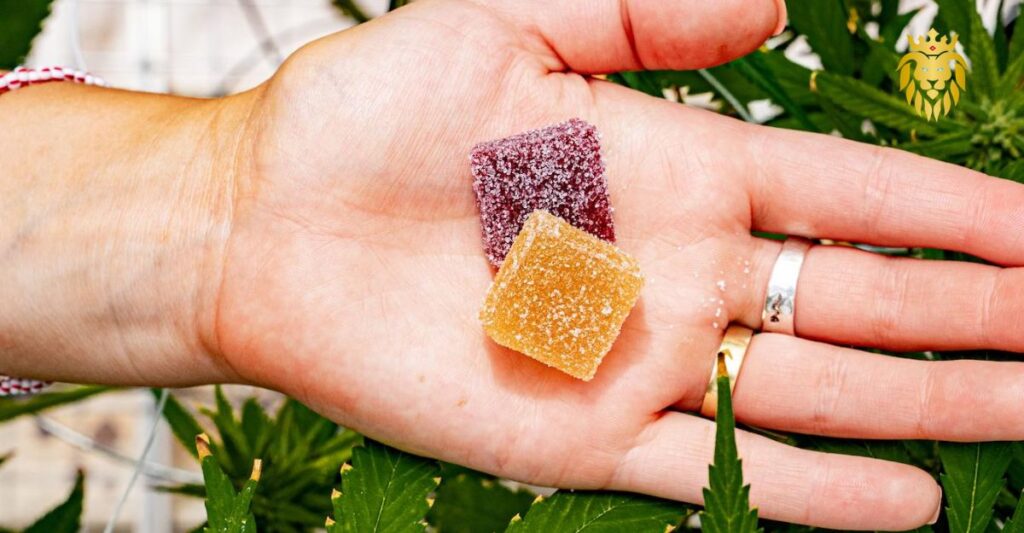 Dive into Delight A Complete Buyer's Guide on How to Buy Edibles Online with Honeyking